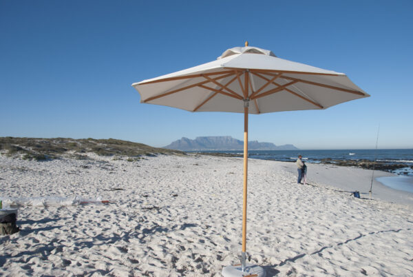 Midday Umbrellas - Image 6